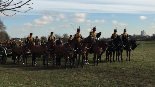 King's Troop RHA Inspection