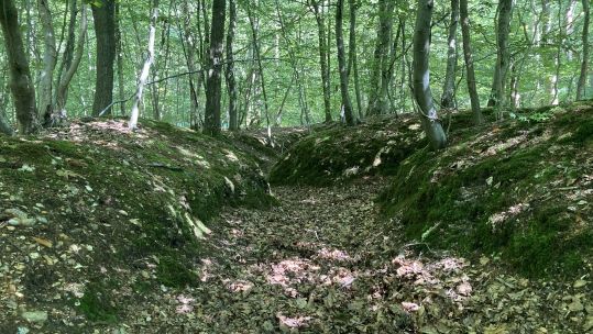 Touring the remains of First World War training trenches near Marlow.