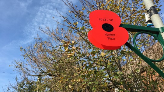 Poppies in Amesbury