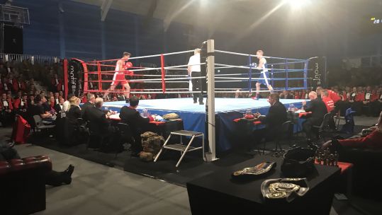 Royal Regiment of Scotland Boxing