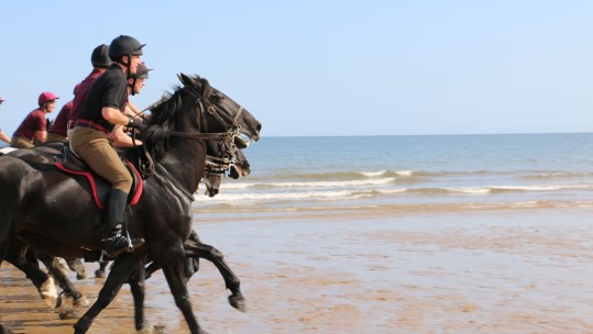 Household Cavalry 