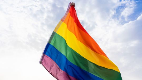Person with LGBT+ flag covering his body (Picture: Cavan Images/Alamy Stock Photo).