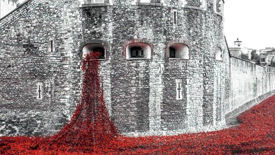  Rivers of blood WWI memorial 