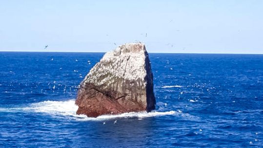 Image ID 2PR3PGF Located in the North Atlantic, Rockall is a small, uninhabited rocky islet CREDIT piemags PJF Alamy Stock Photo EXP 26.05.24