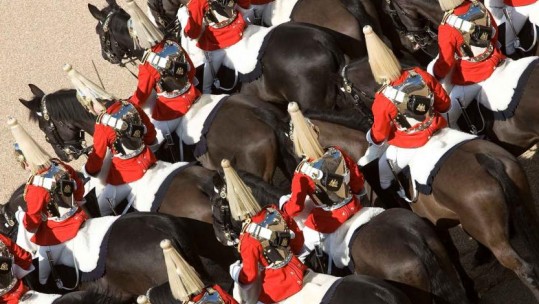 Household Cavalry Horses