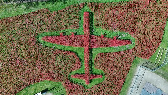 It took more than 20,000 poppies to create the Lancaster
