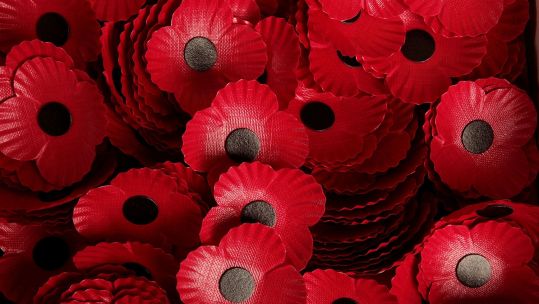 Scottish poppies red poppy appeal Lady Haig's Poppy Factory Picture Poppyscotland