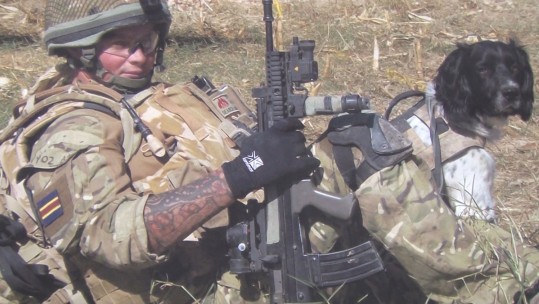  Athletic Challenge In Memory Of Army Dog Handler
