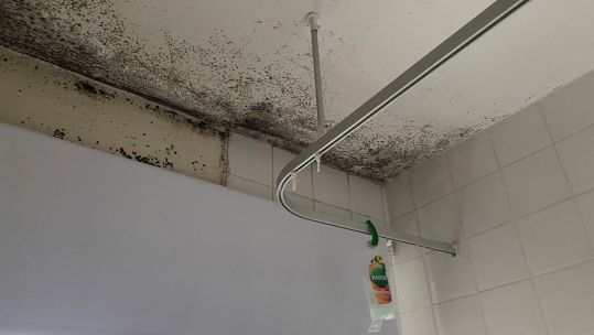MIlitary home with black mould DATE 21022023 CREDIT Abbie Rodgers.jpg