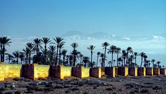 Light Dragoons Head to the Moroccan Desert