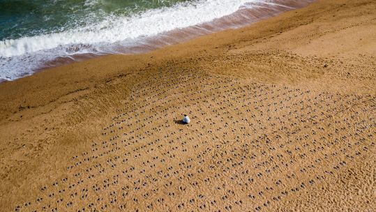 Martin Barraud Exercise Tiger Installation 