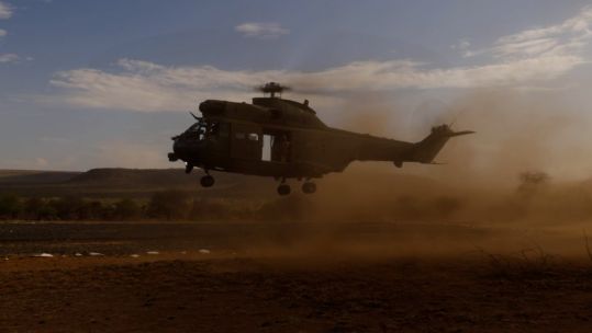 RAF Puma