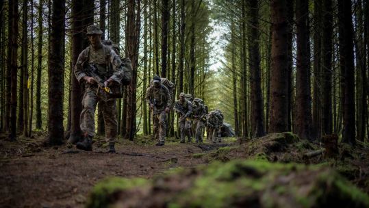 Members of 3rd Battalion The Royal Welse leave woodline for Cambrian Patrol Journey 12102022 CREDIT Army, MOD.jpg