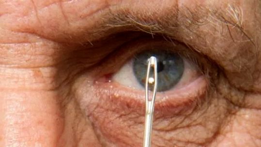 Micro-engraver Graham Short looks through the eye of a needle at his micro poem enscription In Flanders Fields (Picture: Willard Wigan Art).