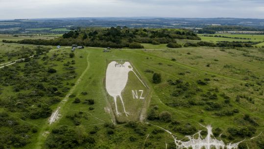 The Bulford Kiwi chalk monument needs constant work to ensure its stays looking its best