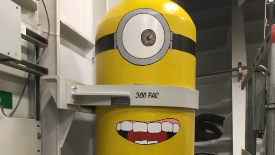 Minion HMS Queen Elizabeth