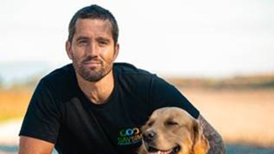 Mitch Hutchcraft has swum, cycled, and hiked more than 13,100 km (Picture: Blue Door Productions/Stan Gaskell)