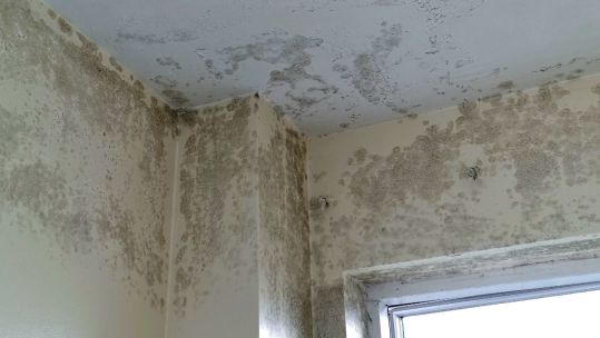 Mould in a service family's accommodation
