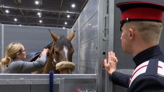 Dylan Hinton prepares for the Forces Show Jumping Final