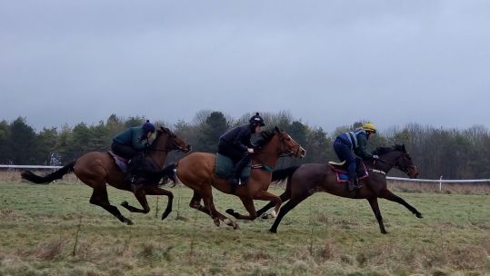 Military riders are set to race at Point-to-Point Combined Services.