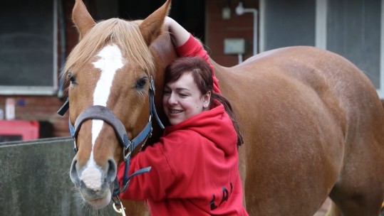 Healing horses