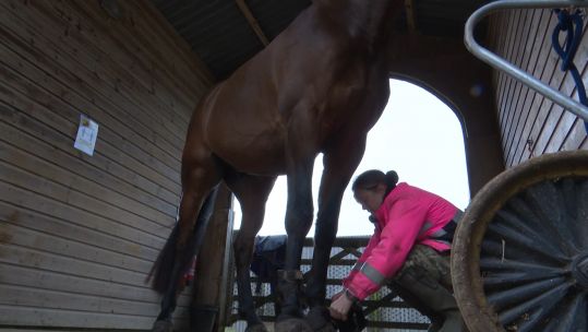 Nicola Rush Horses BFBS STOCK FOOTAGE Date UNKNOWN.jpg 