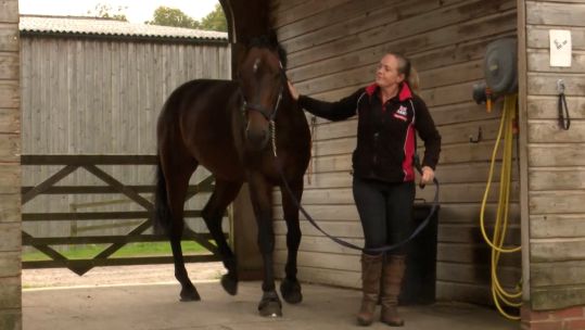 Nicola Rush and horse Credit BFBS DATE UNKNOWN.jpg 