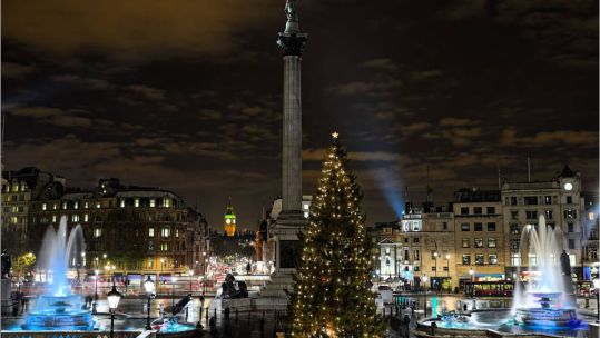 Trafalgar Square, London, England, UK, at night, in winter, with Norwegian Christmas tree.
