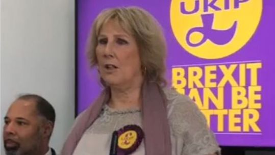 Pat Mountain at UKIP manifesto launch