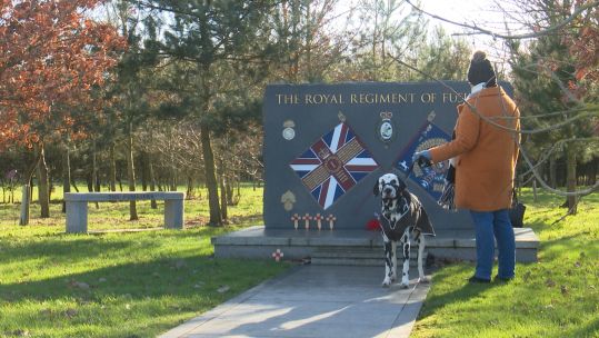 Paws For Remembrance: Dog Lovers Gather At Annual Memorial Fundraiser