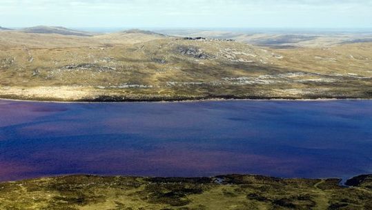 Pebble Island