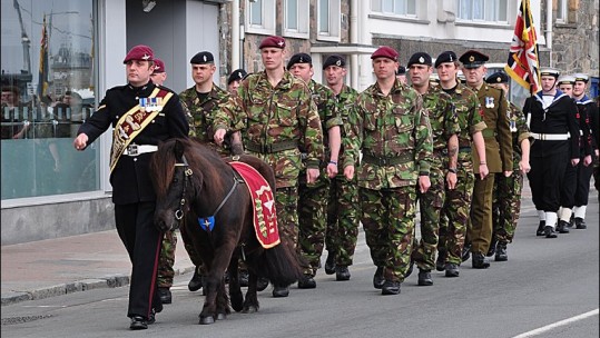 Parachute Regiment’s Shetland pony mascot Pegasus IV