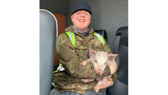 Piglet discovered on runway at RAF Lossiemouth by Engineer SAC(T) George French