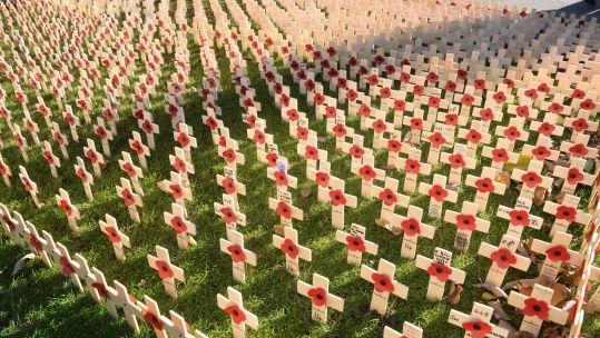 Poppies at the 2019 wreath laying service at the Field of Remembrance in Edinburgh