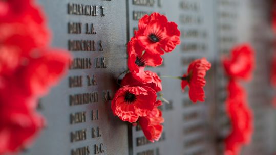 Poppies pinned next to the names of fallen loved ones on the Australian War Memorial, Canberra, Australia