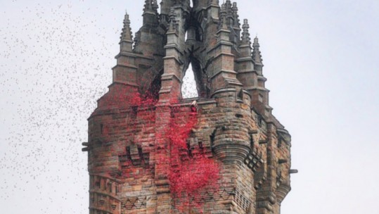 Poppy Petals Cascade To Commemorate Battle Of Arras