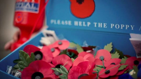 Cover image: Library image of the Poppy Appeal (Picture: MOD). 