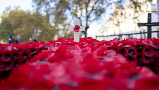 Poppy cross surrounded by poppies 