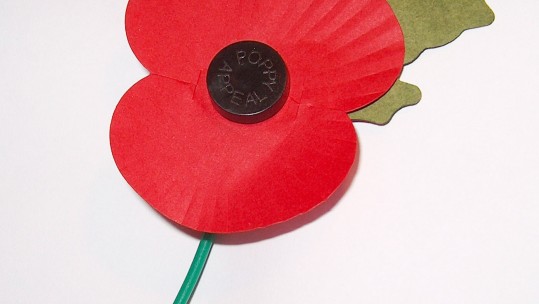 Manchester Gets Poppy Appeal Underway