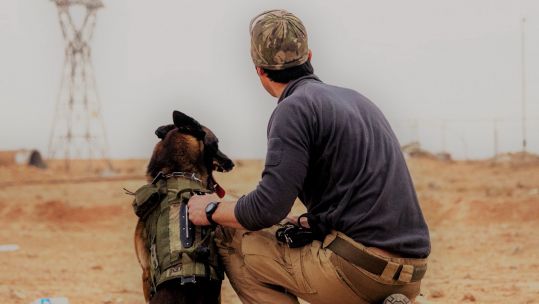 Posthumously decorated Belgian Malinois Leuk with a handler (Picture: PDSA).