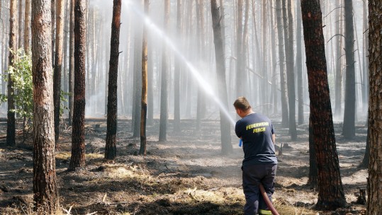 Potsdam forest fire Germany