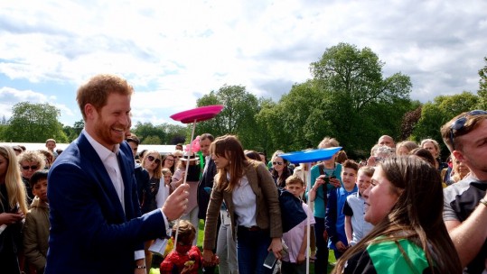 Prince Harry garden party