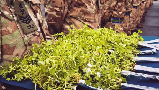 Queen's Royal Hussars Battle It Out On St Patrick's Day