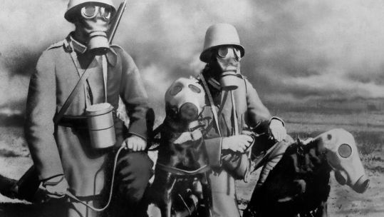Japanese soldiers and their service dogs wear gas masks during a training session, ca. 1933