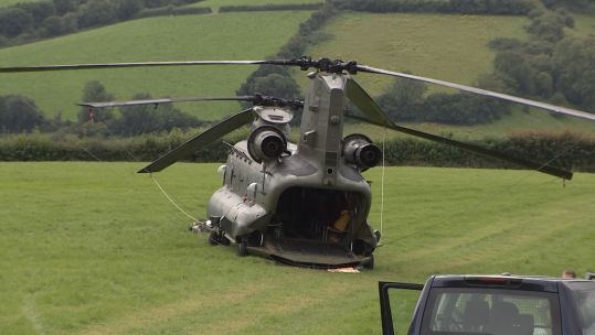 Chinook