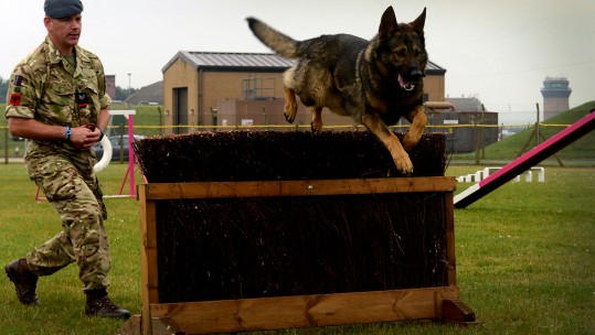 RAF Comes Out ‘Top Dog’ Over U.S. Air Force