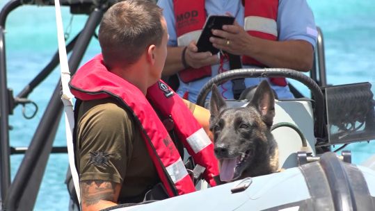 RAF Policeman and his dog on boat off RAF Akrotiri coast Cyprus 280720 CREDIT BFBS.jpg