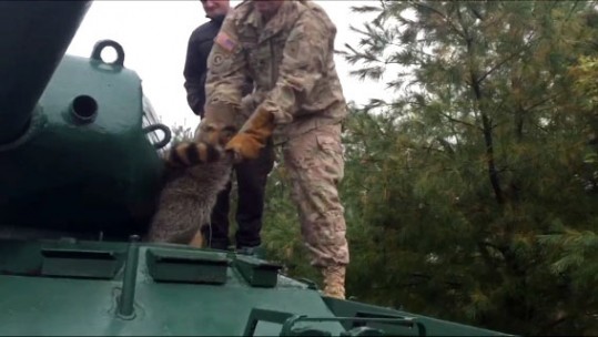 Raccoon stuck in tank
