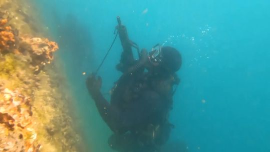 Rare glimpse of US Navy SEALs and Croatian Special Forces joint exercise 02082022 CREDIT NATO