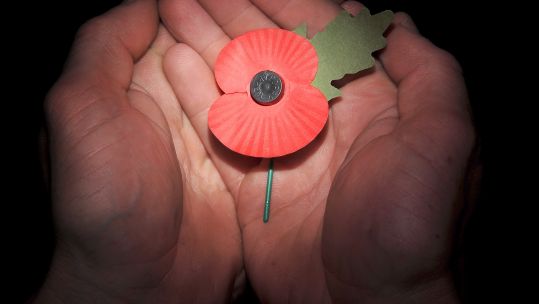 The Remembrance poppy went on sale for the first time in 1921 (Picture: MOD).